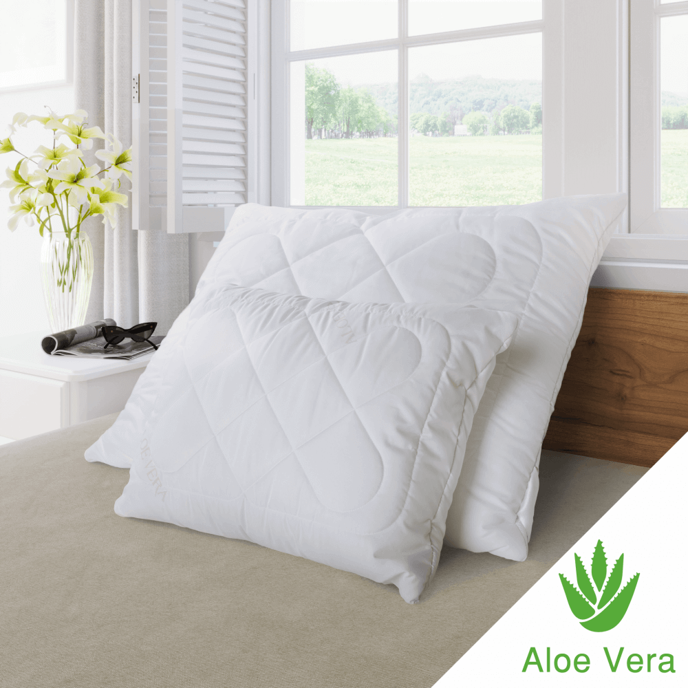 Vankúš ALOE VERA 45x60 cm 400g