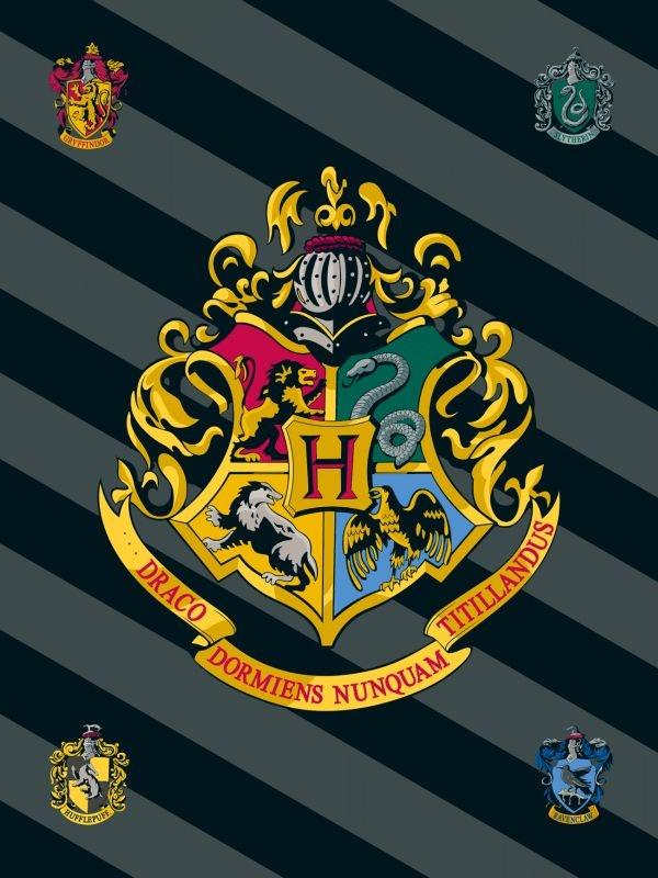 Fleece deka Harry Potter sivé pruhy