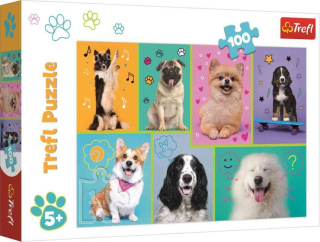 Puzzle svet Šteňatka 100 dielikov
